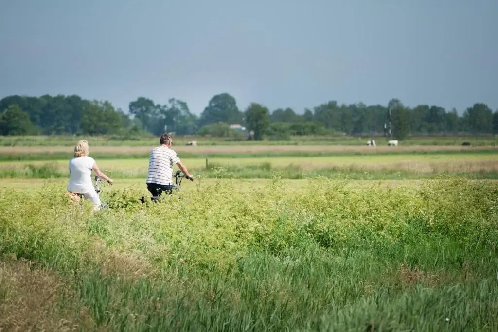 Het Swadde huisje
