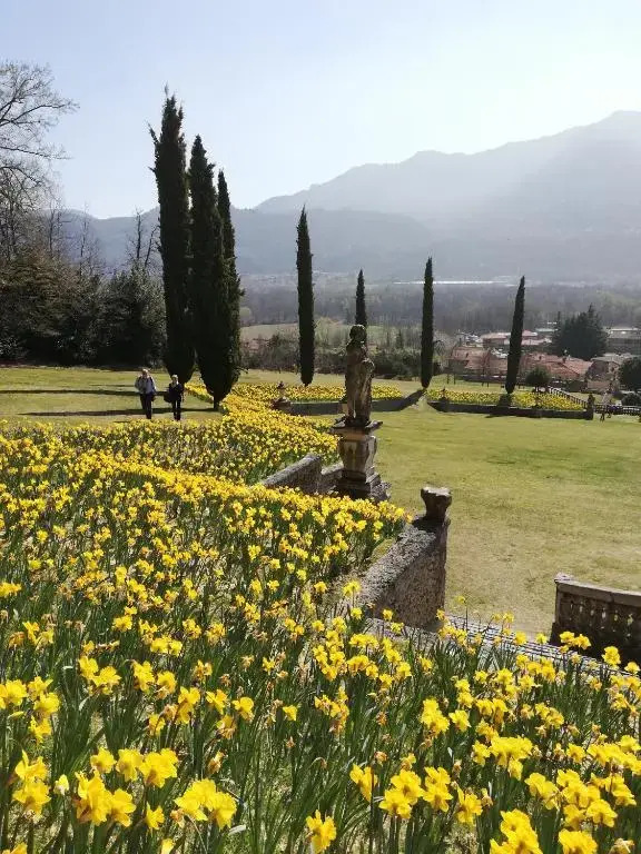 Bellavista