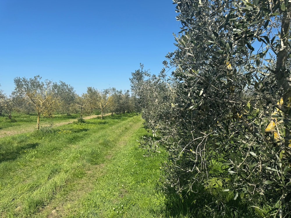 Agriturismo Pian di Barca