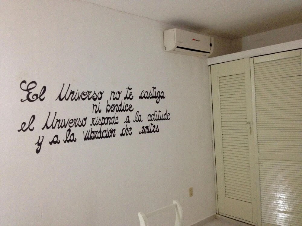 Mas amor por favor