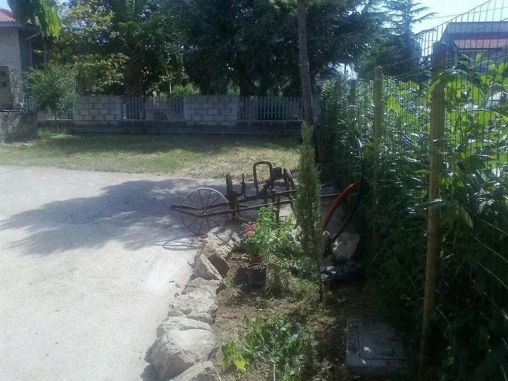 Bio B&B Riccio Volante