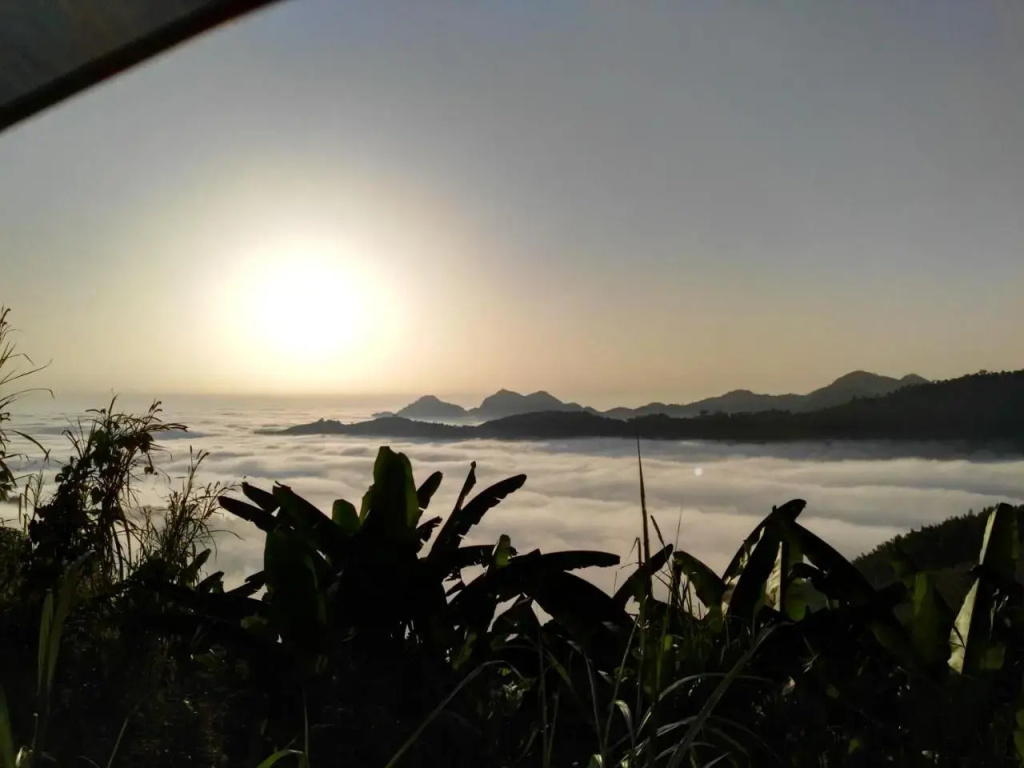 Qun Feng Hotel