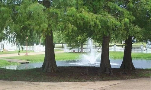 Magnolia Plantation