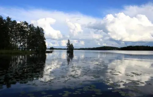 Tervakallio Camping