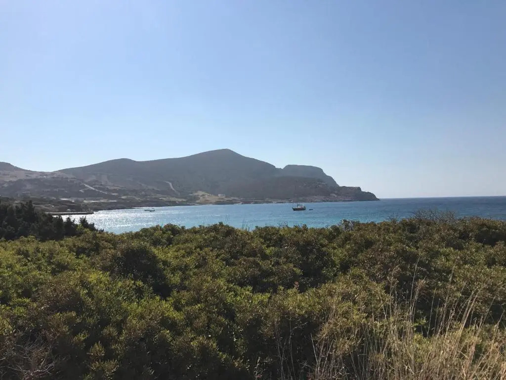 Island White