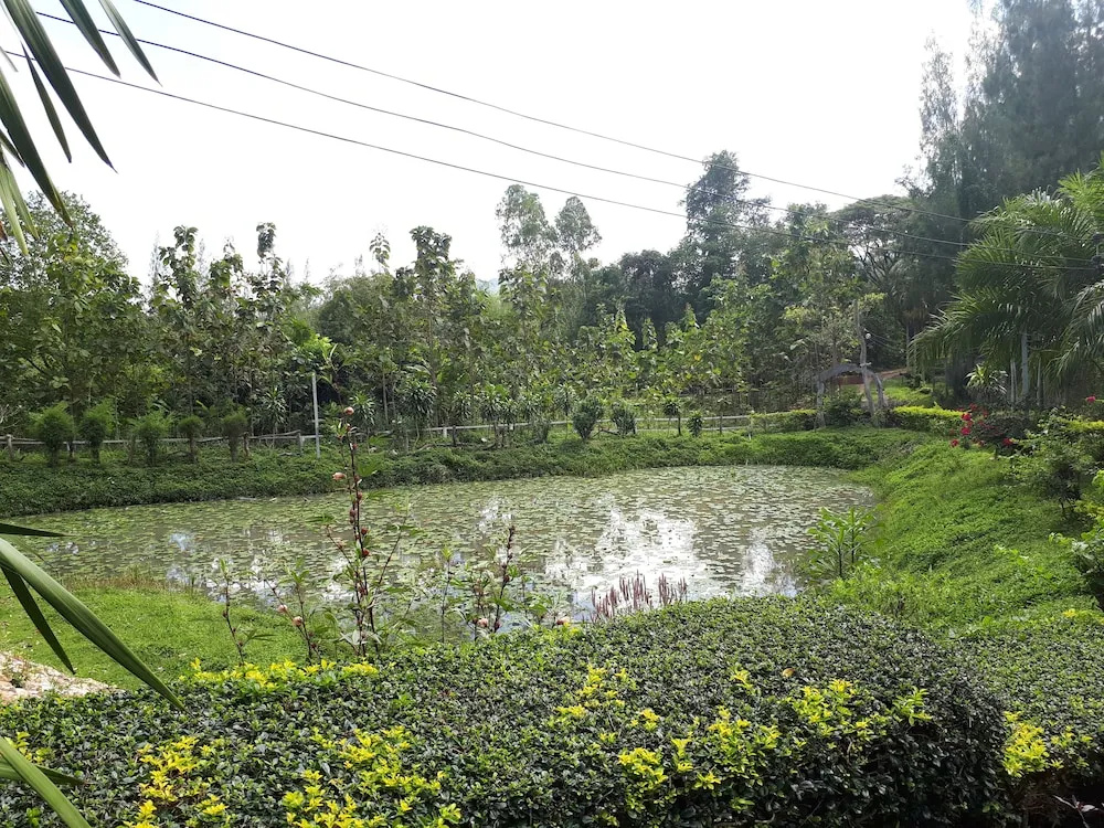 Rai Phuphapok