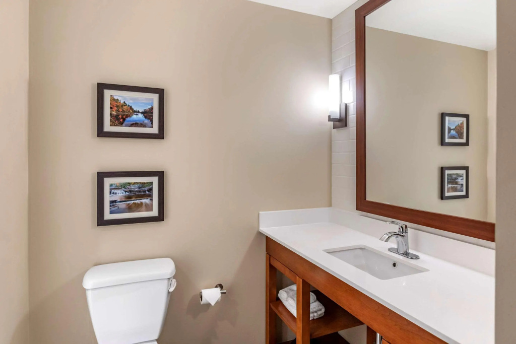 Comfort Inn & Suites Clarkston Pine Knob Area