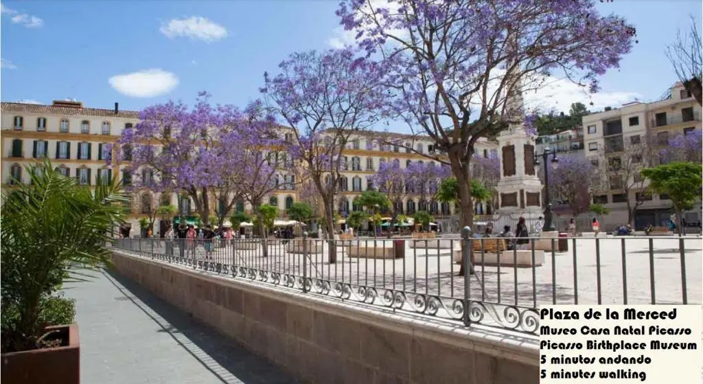 BIG FLAT IN CITY CENTER, UP To 12 PEOPLE