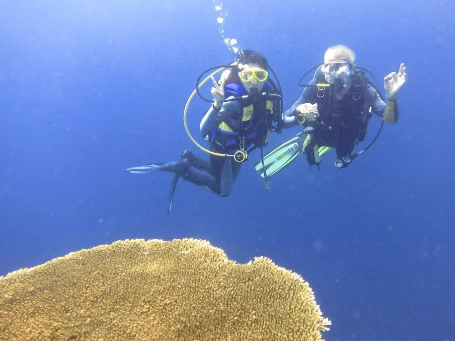 Dive Point Alcoy