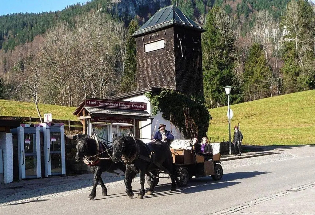 Bergnescht