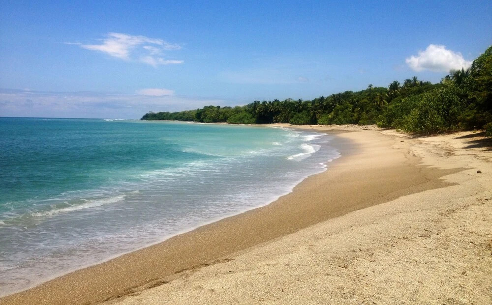 Anamaya