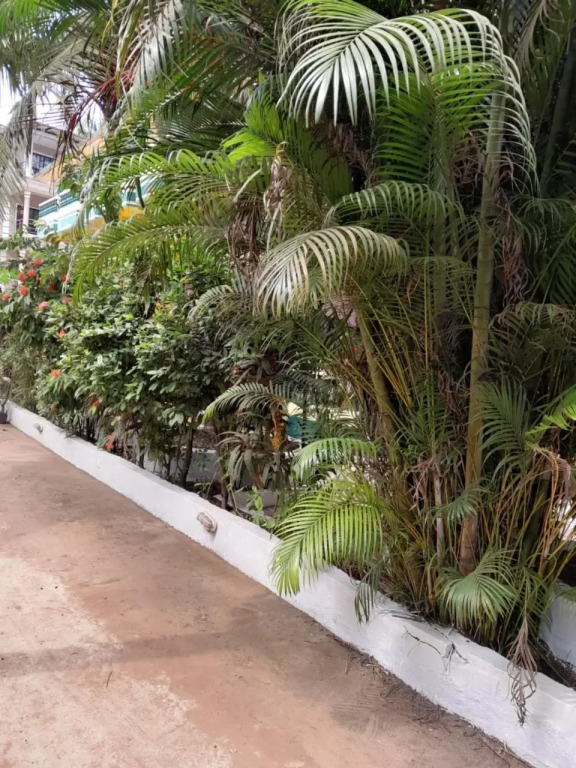 IVON Guest House Arambol