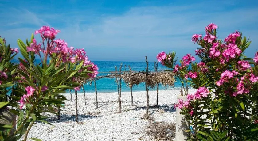Vila Florika Hotel