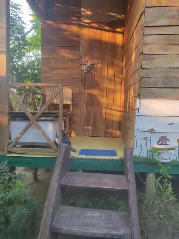 Bee house
