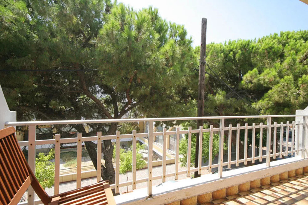 Camelia Hotel