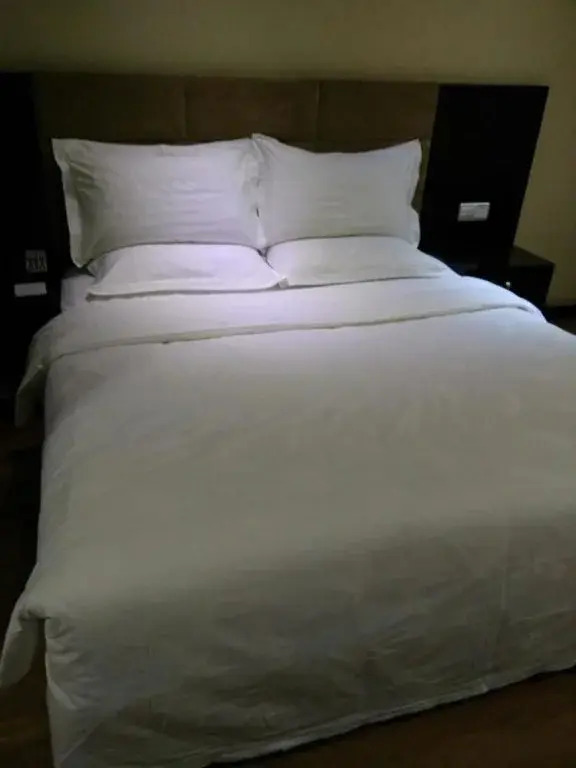 Mercure Xining Downtown