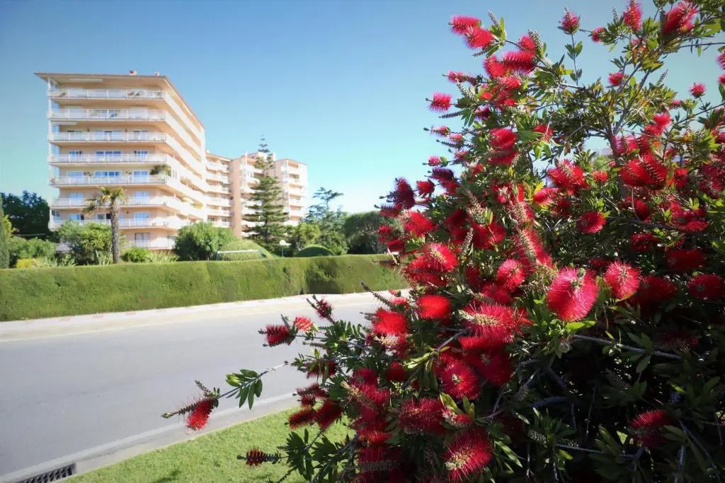 Apartamentos Creu de Sant Pol 2 Habitaciones