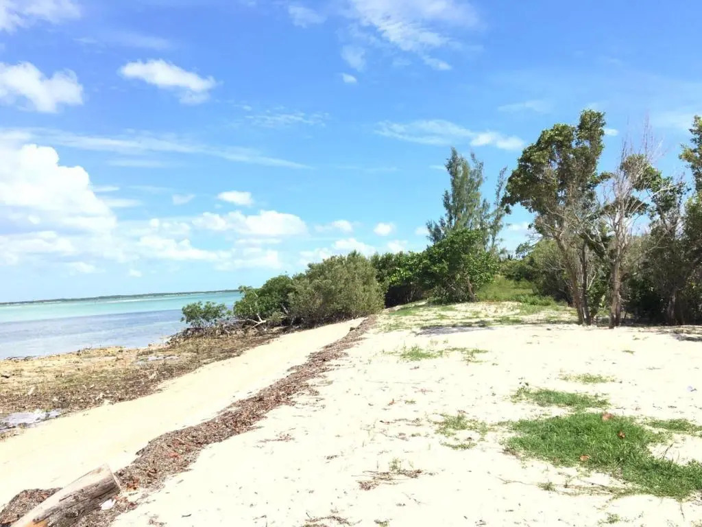 Mangrove Cay Sea View Villas