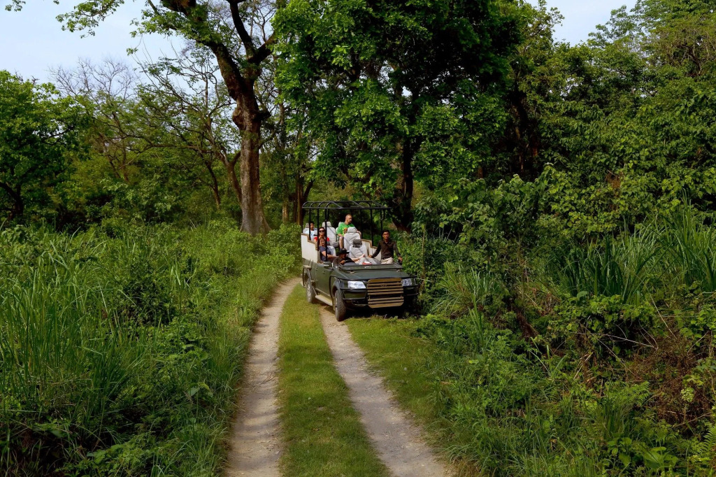 Safari Adventure Lodge
