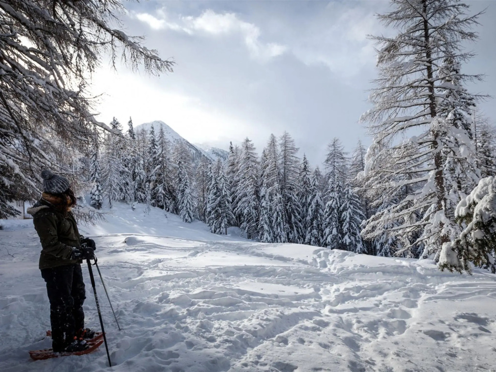 Chalet in La Tzoumaz Near Ski Slopes