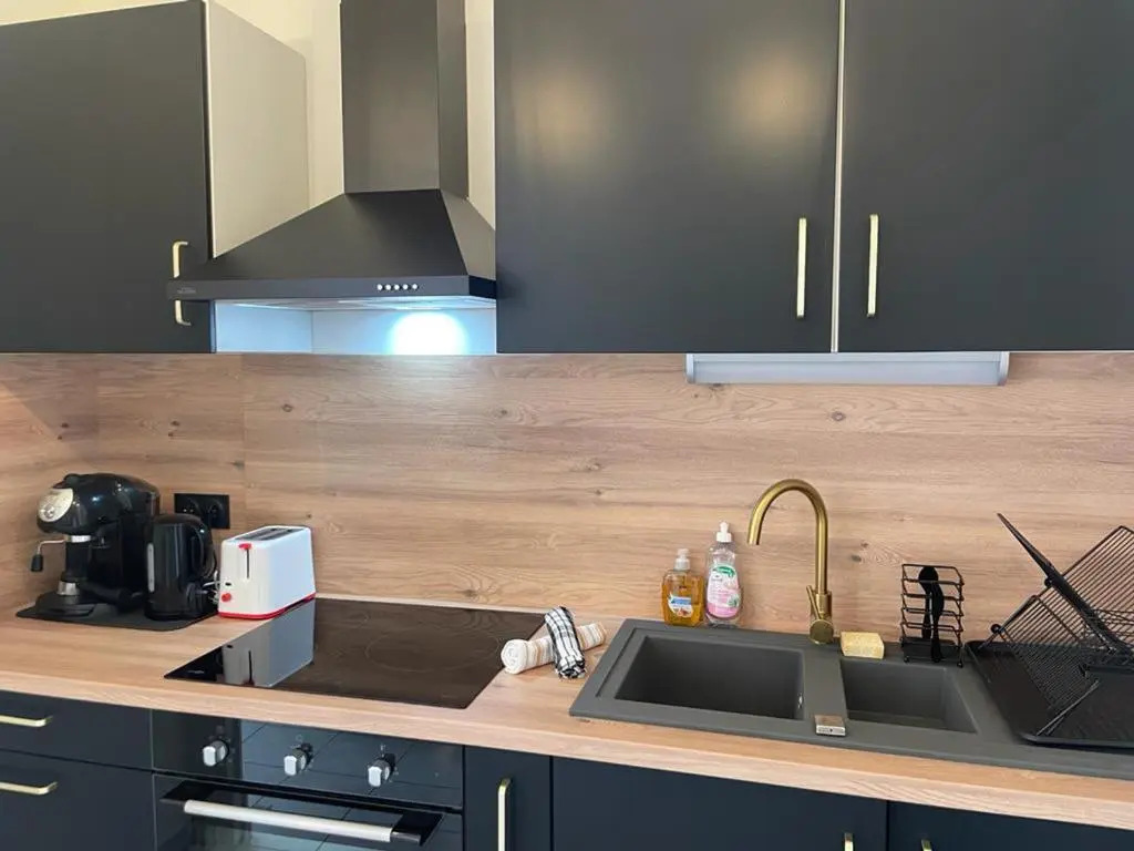 Appartement Aix-les-Bains, 2 pièces, 4 personnes - FR-1-617-55