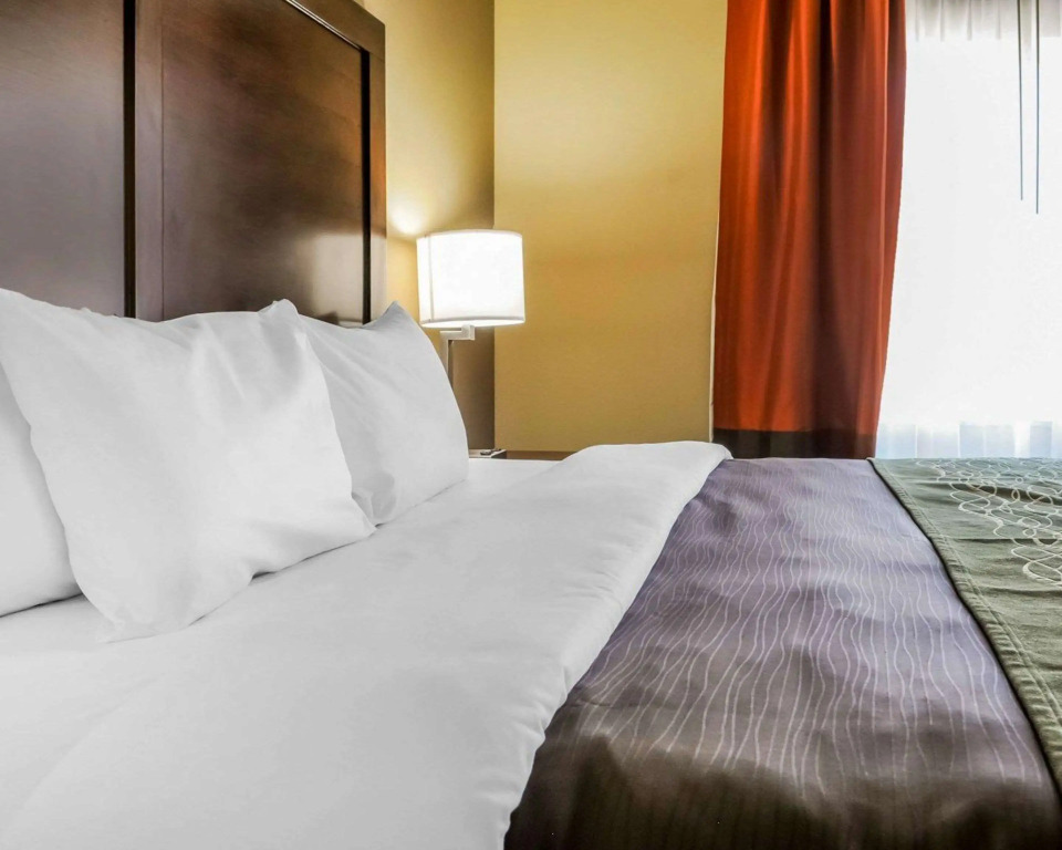 Comfort Inn & Suites Artesia