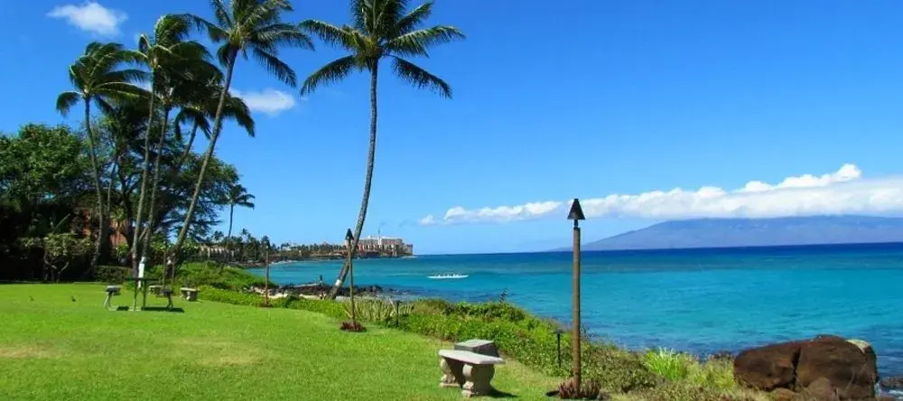 Polynesian Shores