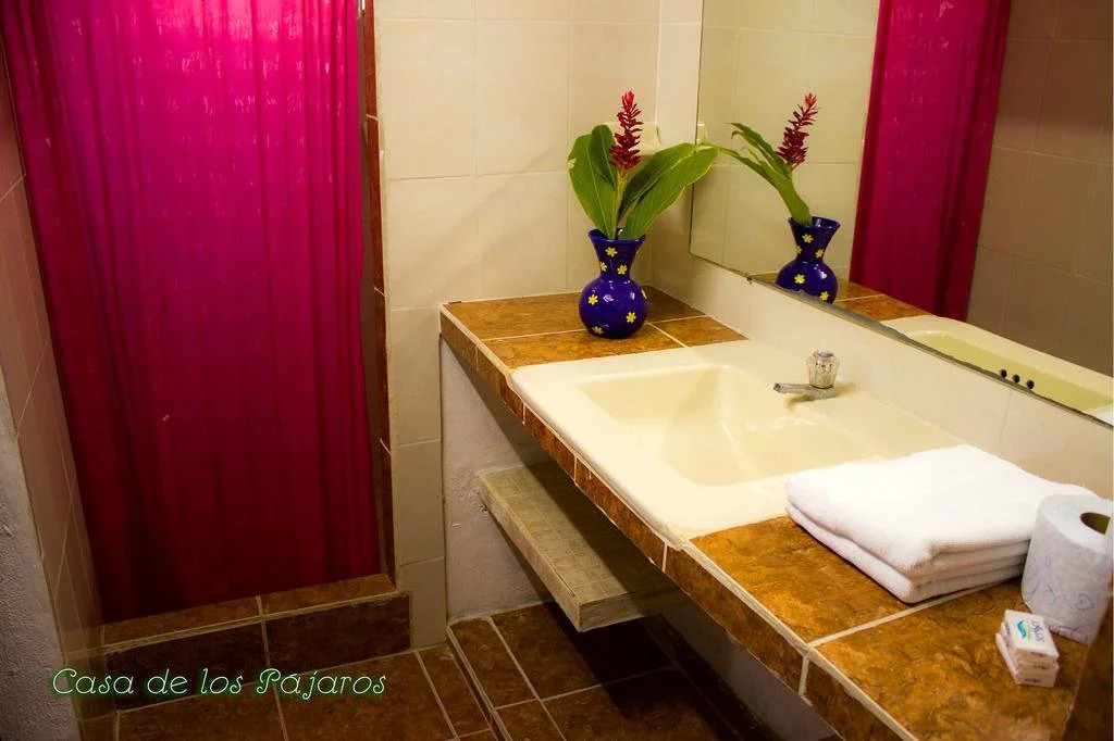 Casa De Los Pájaros - B&B