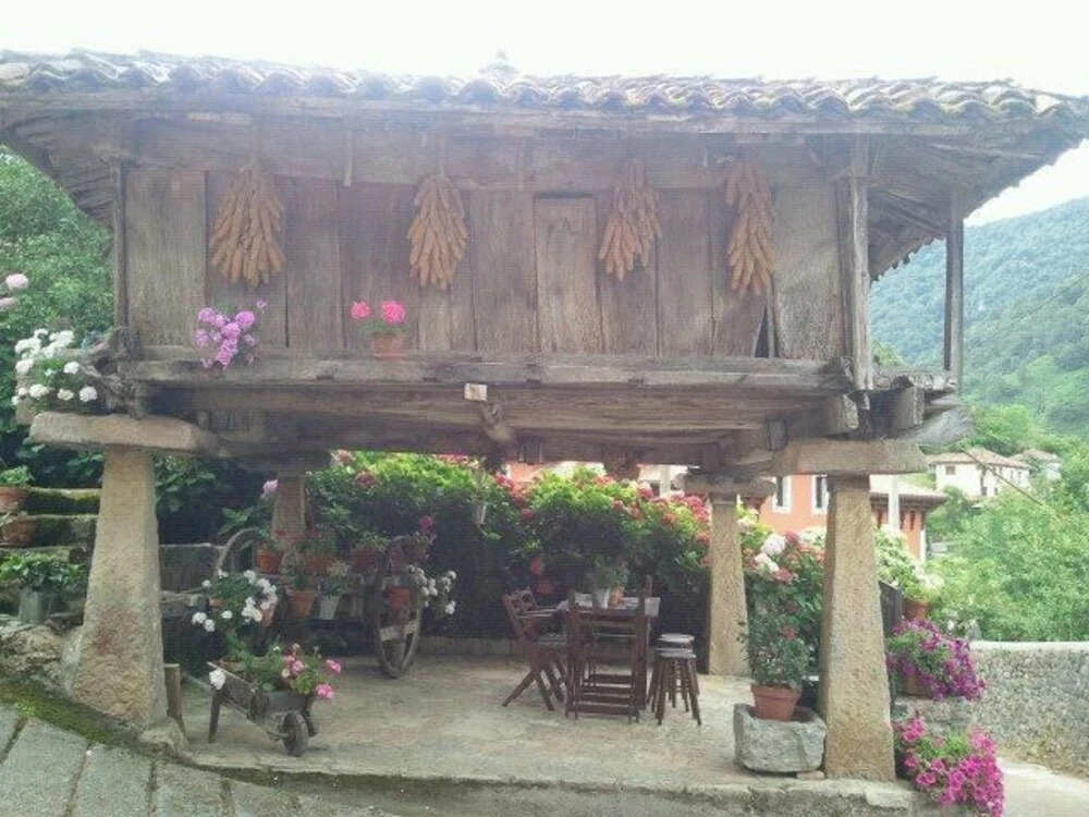 El Colladín