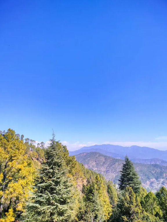 The Alpine Vista