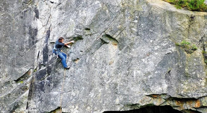 Alpenrose