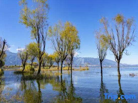 Dali Ruixin Lodge Nanzhao Bai Ethnic Aesthetic Sea View Beauty Accommodation