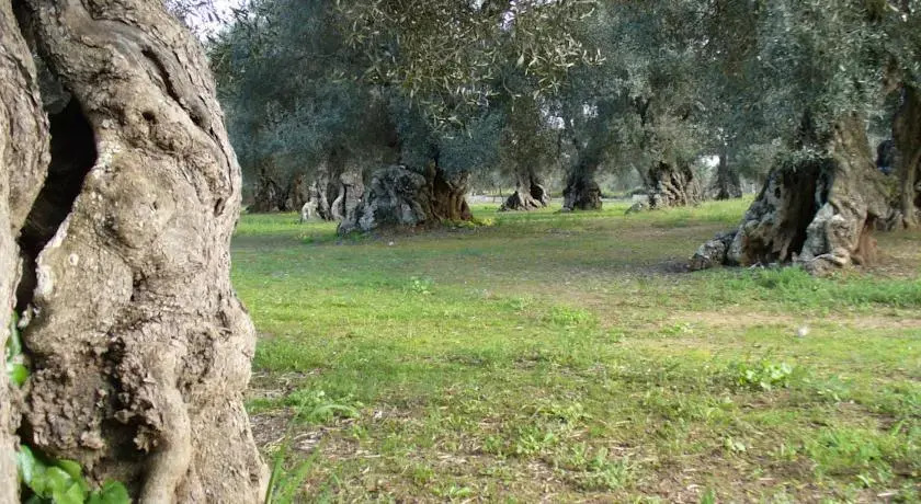 B&B Vigna La Corte