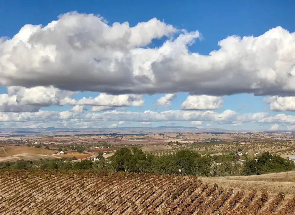 The Eden House Vineyard