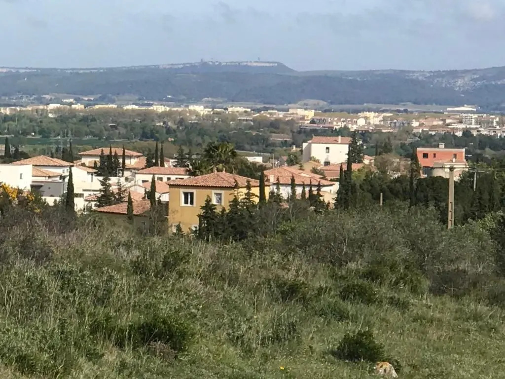 Villa les agrumes