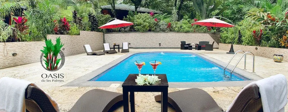 Oasis de las Palmas
