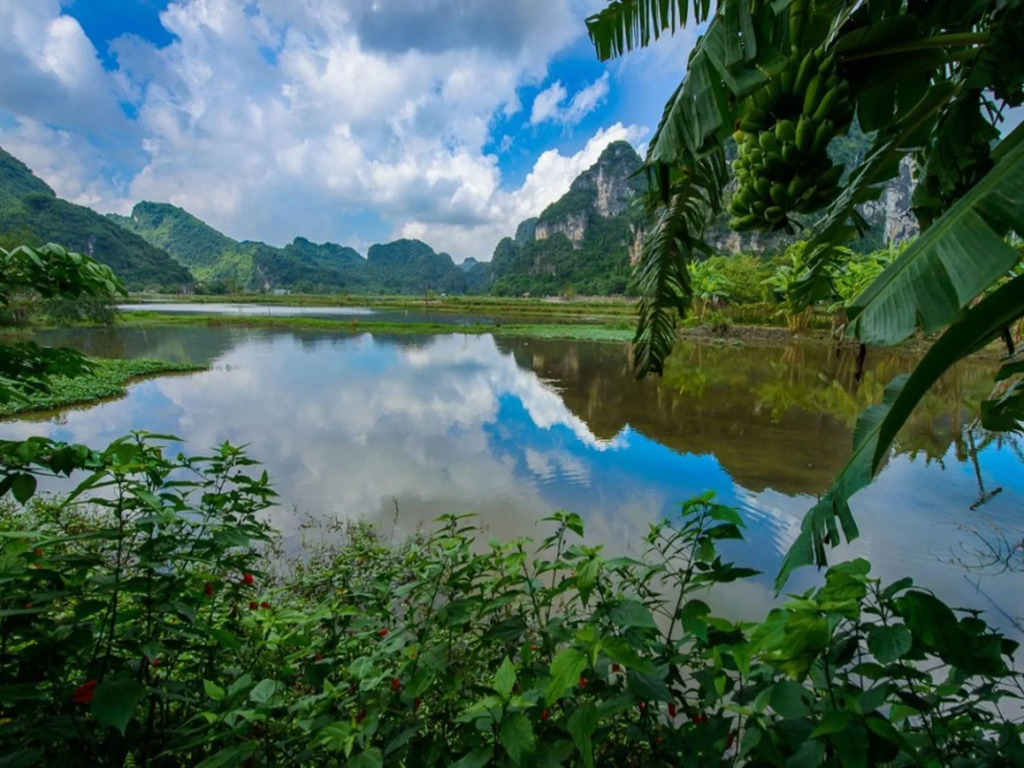 Tam Coc Garden Resort