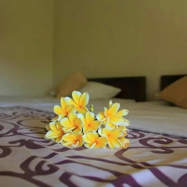 BB Homestay Two
