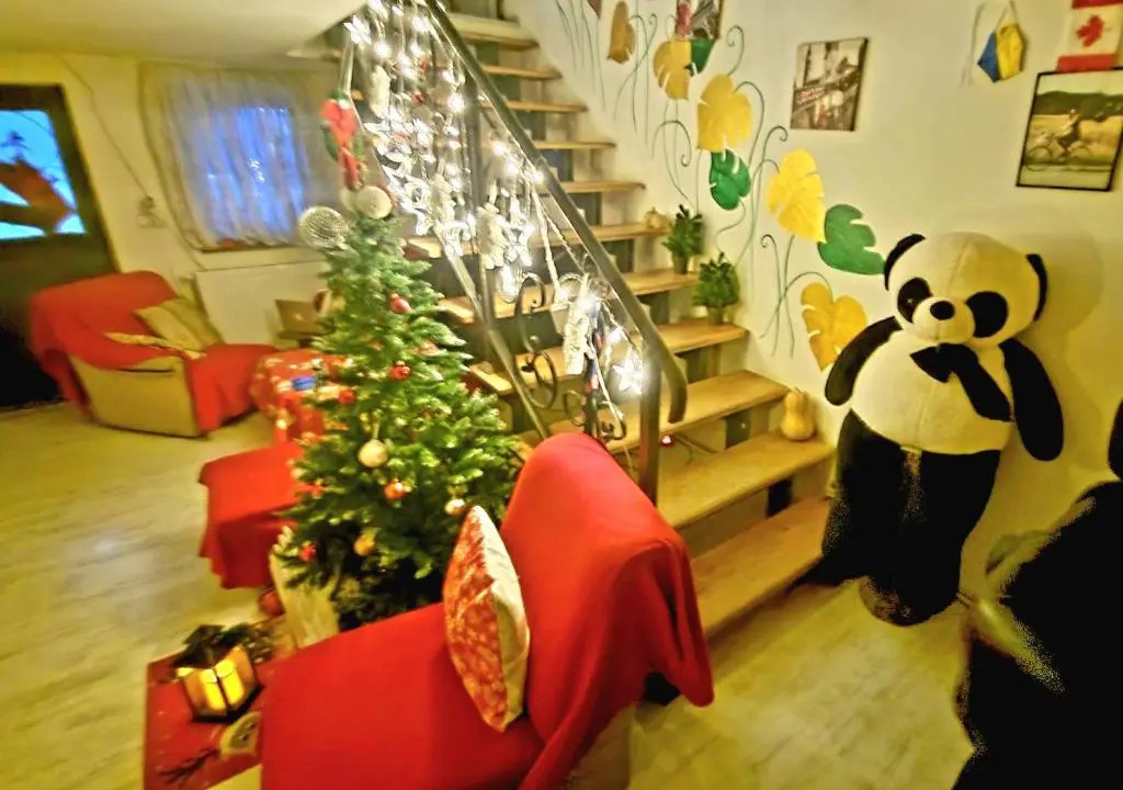 happy pandasN12