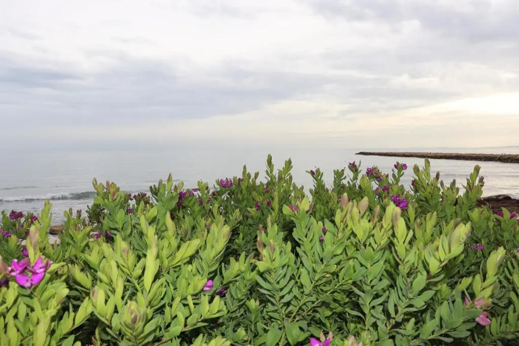 Carmen apartments with sea view near Alicante