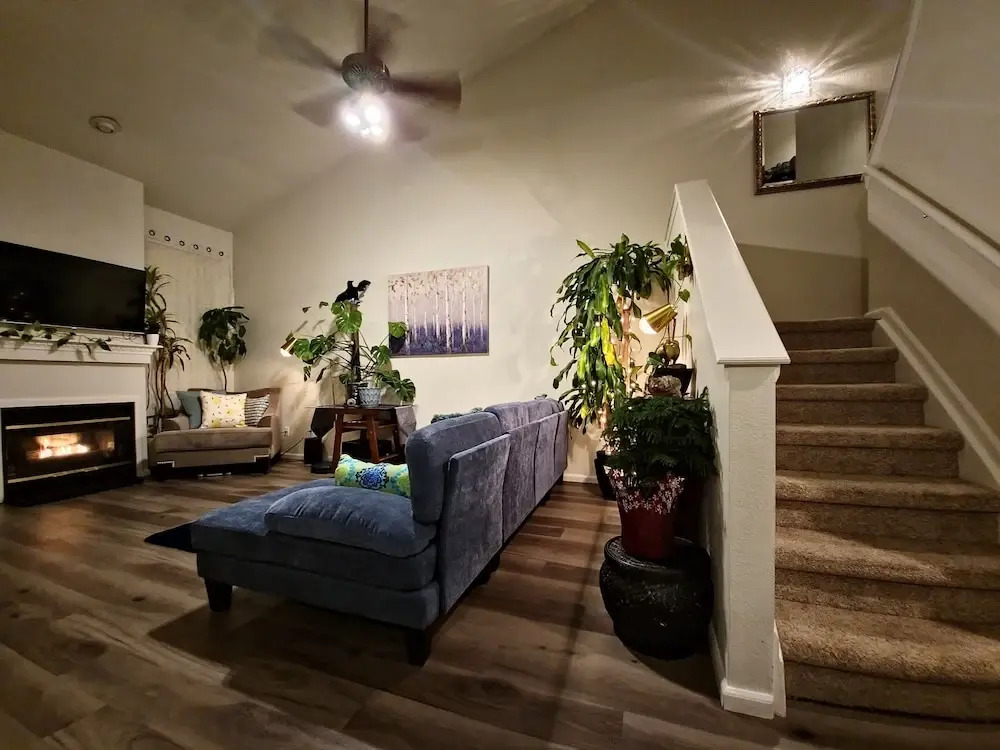 Casa de gato