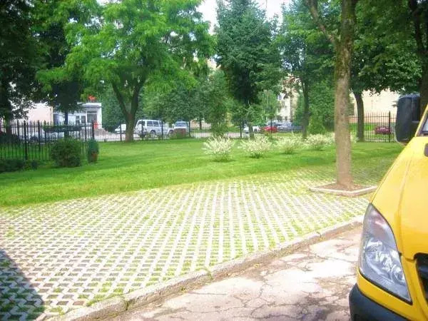 Auksines Avis
