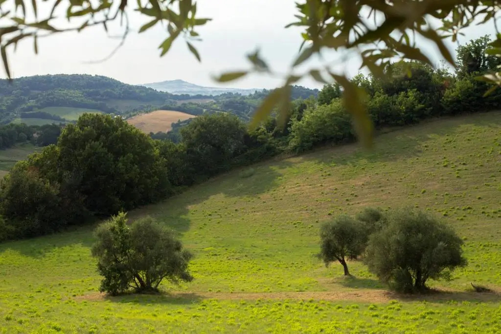 San Rocco Country House
