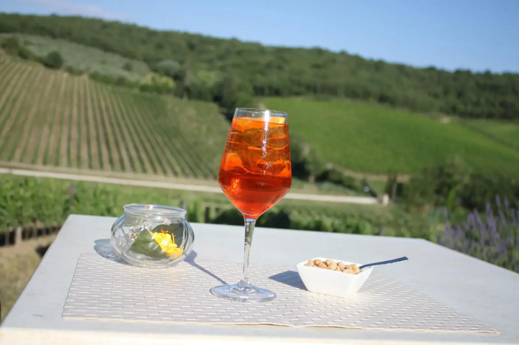 Hotel Le Vigne