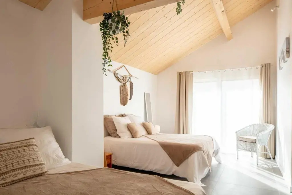 Ted Surf House