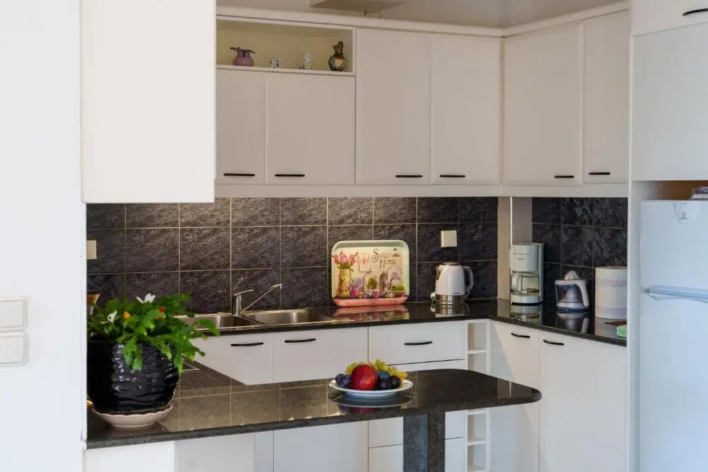 Hara's Apartment 1