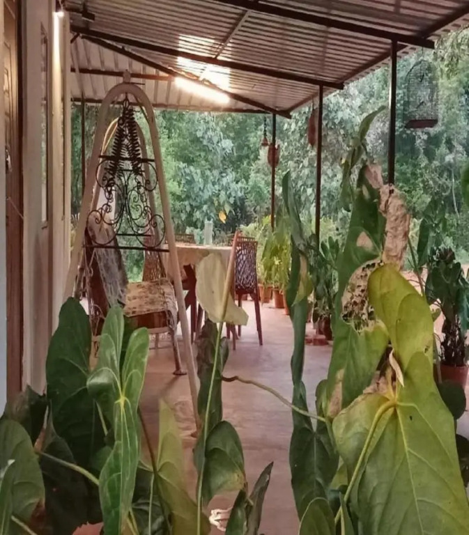 Coorg Coffee Country Park by StayApart