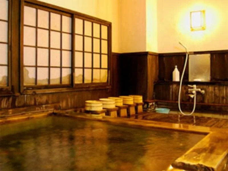 Hinagu Onsen Hiraya Hotel