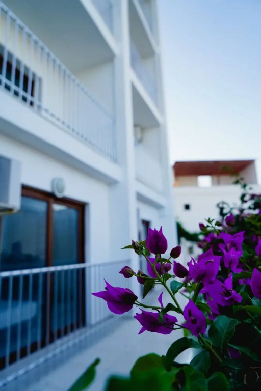 Rozetta Hotel