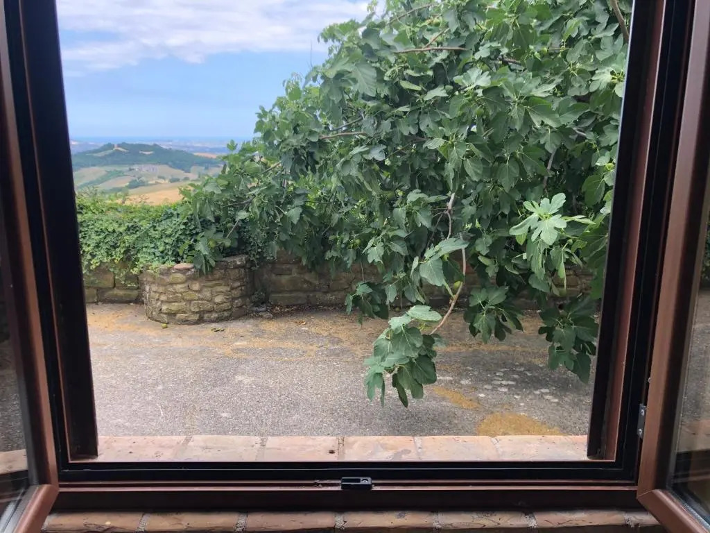 Mini Casale Rustico ColleBello